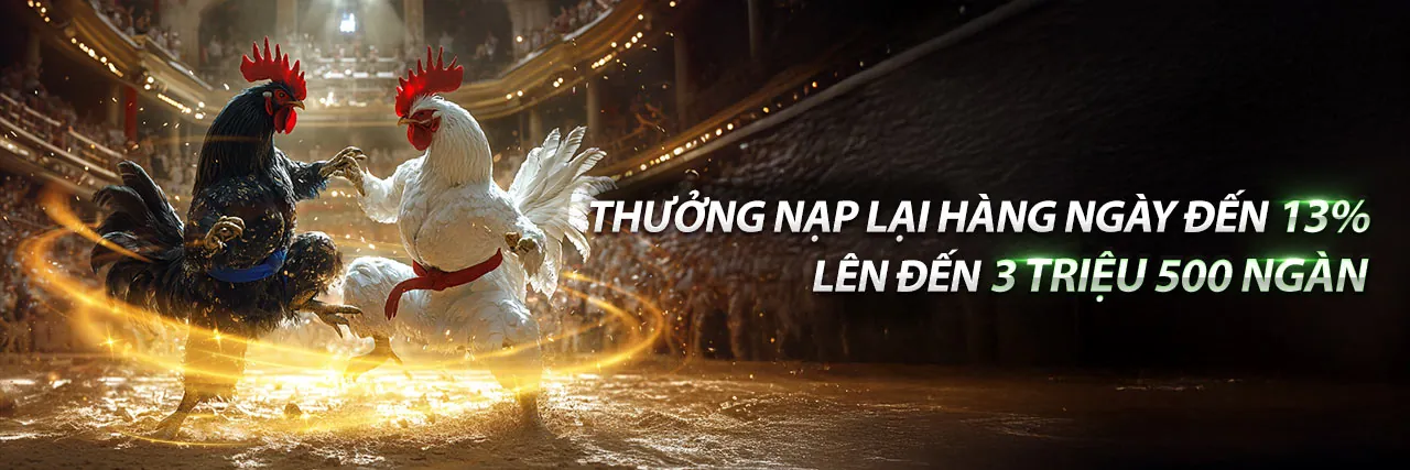 Trực tiếp đá gà c3 30 3 tại 33WIN